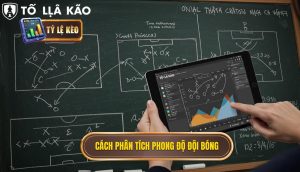 Cách Phân Tích Phong Độ Đội Bóng Chuẩn Xác Từ Chuyên Gia Tỷ Lệ Kèo 1 Cách phân tích phong độ đội bóng